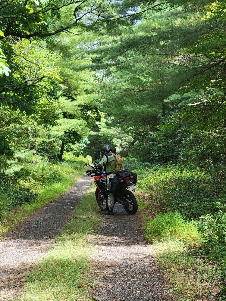 Pennsylvania Wilds BDR-X